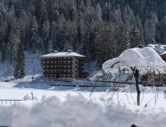 Alleghe - Rezidence REGINA 
      