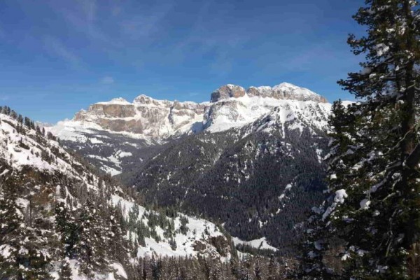 Zasněžené horské panorama s lesy pod modrou oblohou.  