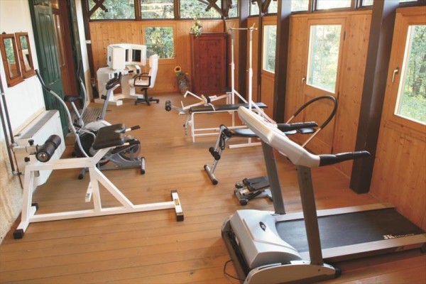 Malá tělocvična s různým fitness vybavením a dřevěnou podlahou.
