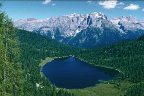 Horské jezero obklopené lesy s vysokými zasněženými horami v pozadí.