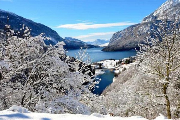 Zimní krajina s fjordem obklopeným zasněženými stromy a horami.