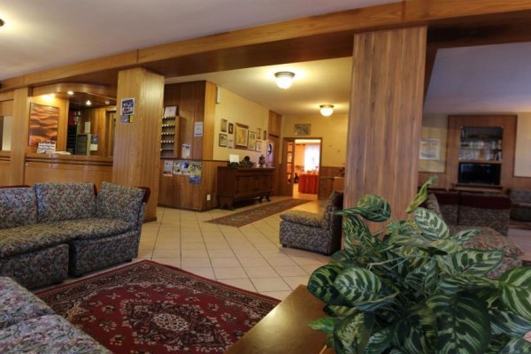 Recepce hotelu s pohovkami a rostlinou v popředí.