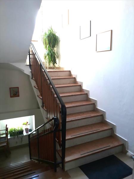 Schodiště s květinou na podestě a obrazy na stěnách.