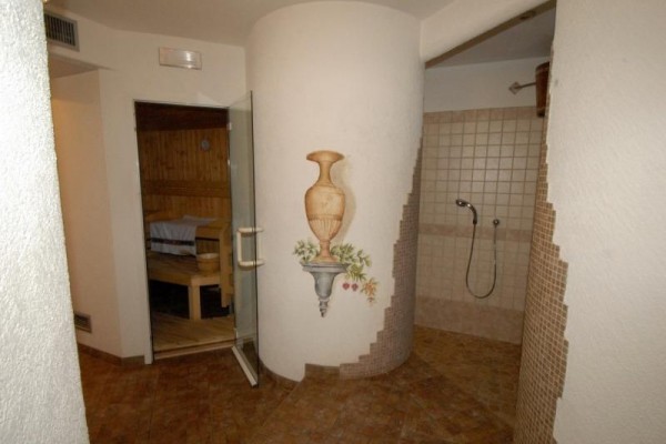 Vstup do sauny s prosklenými dveřmi a sprchovým koutem na dlažbě.